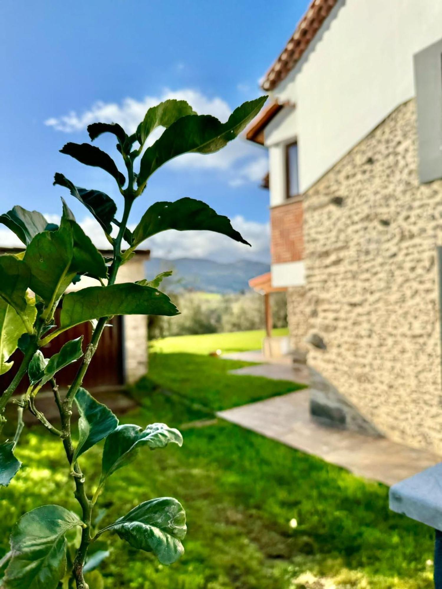 Terradeva Apartamentos Colombres Zewnętrze zdjęcie